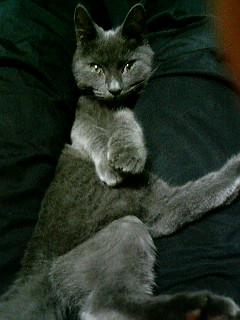 d0046821_12521159.jpg