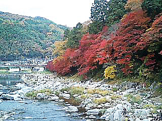 a0007523_13581933.jpg