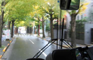 f0097523_18563764.jpg