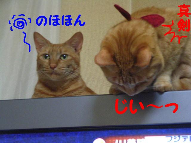 d0081025_19531998.jpg