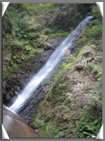 d0048140_3375417.jpg