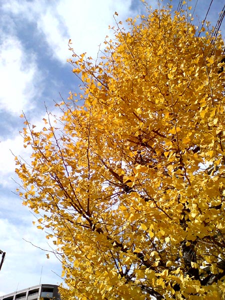e0034047_16572447.jpg
