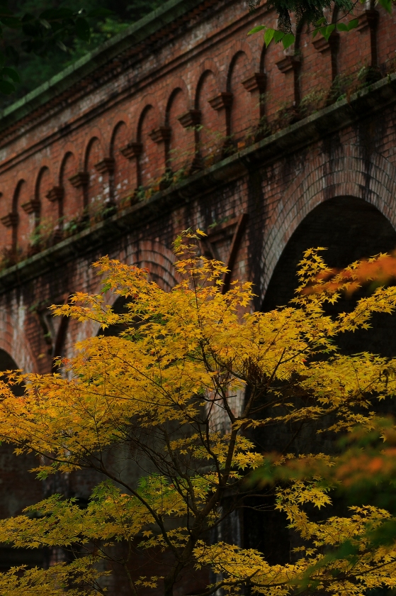 f0049152_21243623.jpg