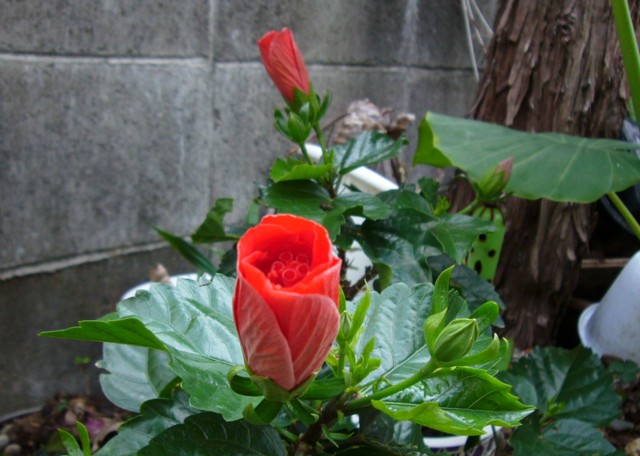 a0052156_21203128.jpg
