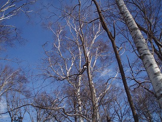 e0004756_20414545.jpg
