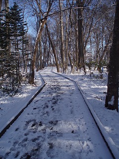 e0004756_20421591.jpg