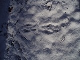 e0004756_20443180.jpg