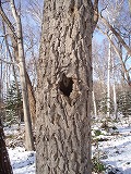 e0004756_20501281.jpg