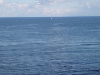 e0004756_20554537.jpg