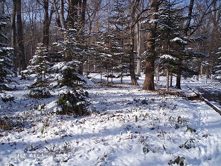 e0004756_2105754.jpg