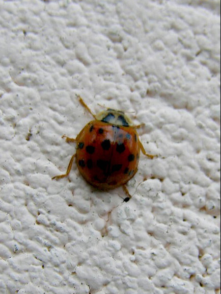 e0064158_1293512.jpg