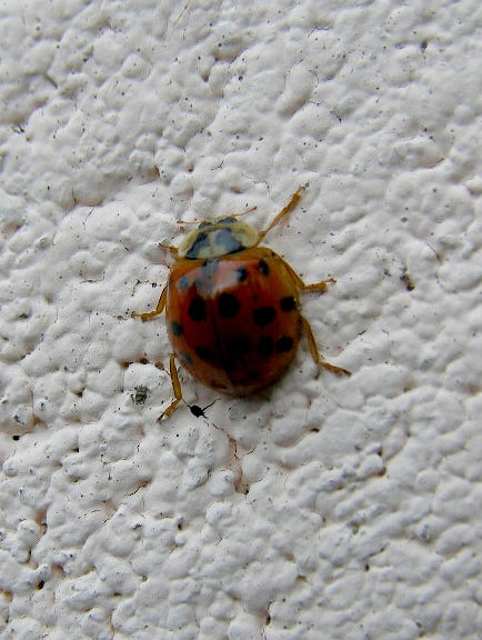 e0064158_129870.jpg