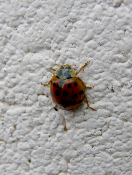 e0064158_13062.jpg