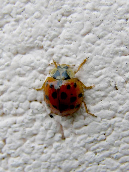 e0064158_1322657.jpg
