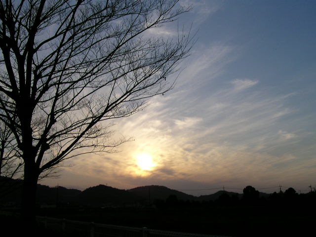 f0074659_21595912.jpg