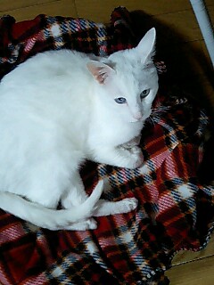 d0076760_23135590.jpg