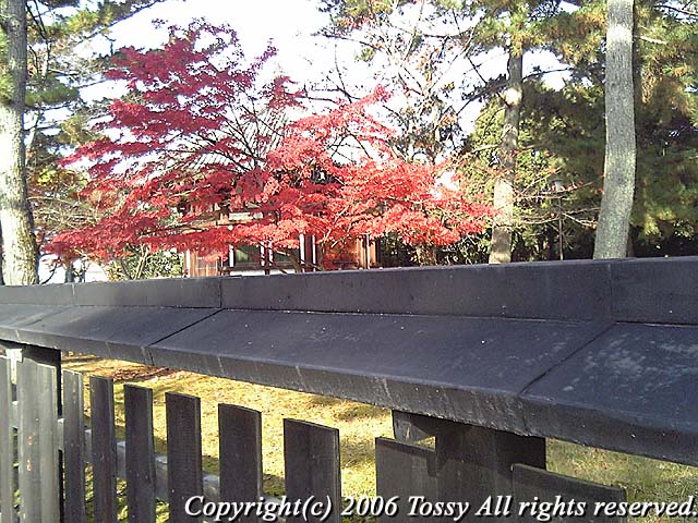f0002163_5431691.jpg