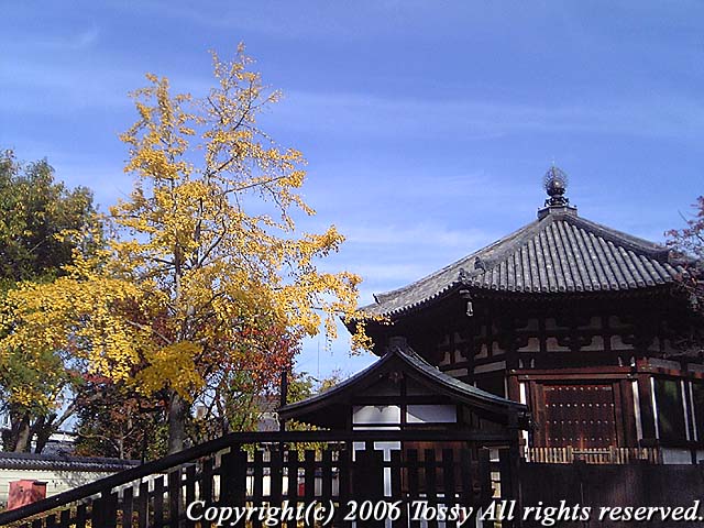 f0002163_5432888.jpg