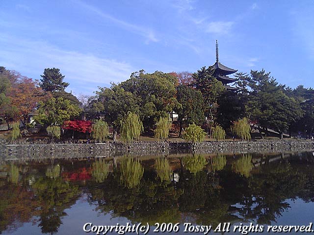 f0002163_5433694.jpg