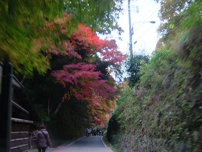 b0048766_2293132.jpg