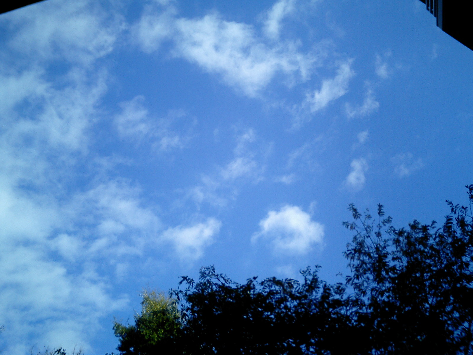 c0077871_11103465.jpg