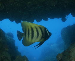 c0039073_016969.jpg