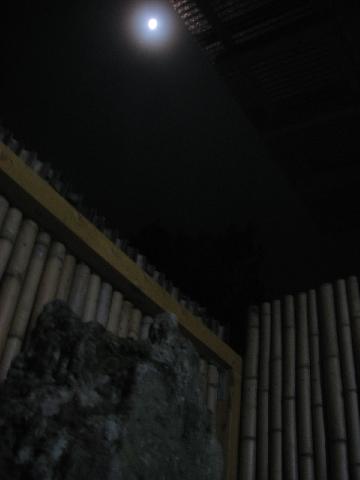 c0027776_1658532.jpg