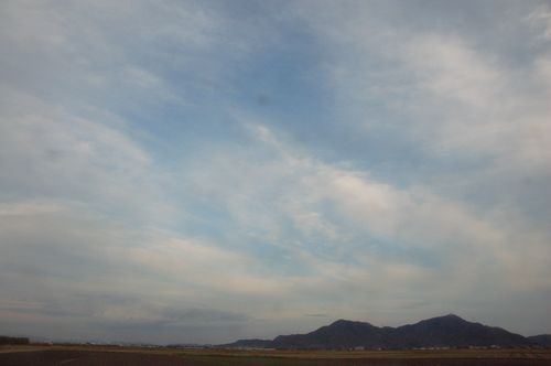 d0063278_23421643.jpg