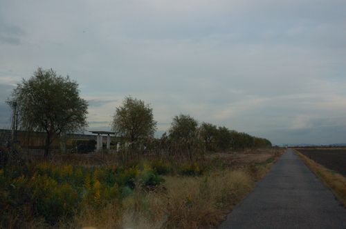d0063278_23422689.jpg