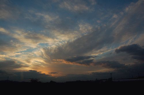 d0063278_2343996.jpg
