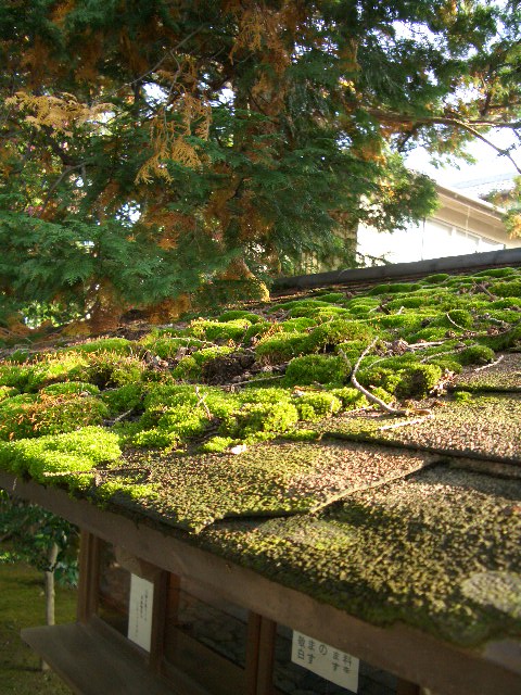 f0089079_235363.jpg