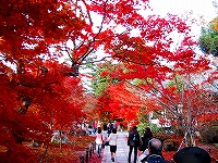 b0073782_032423.jpg