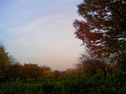 f0098983_06083.jpg
