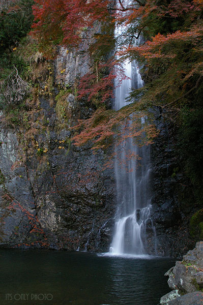 e0008800_37548.jpg