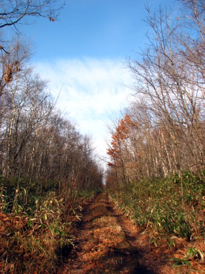 f0020302_1229043.jpg