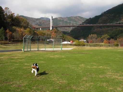 f0034602_17212284.jpg