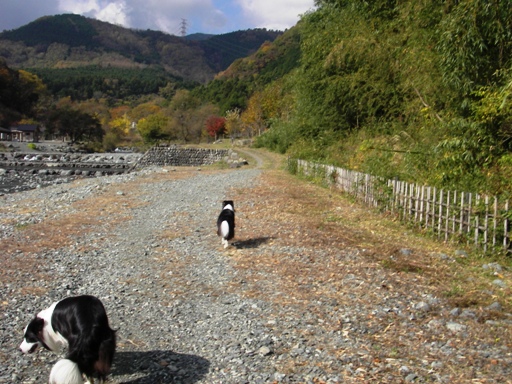 f0034602_1724452.jpg