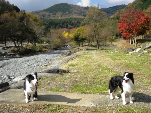 f0034602_17273762.jpg