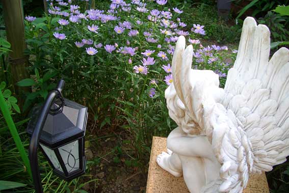 c0105306_2021338.jpg