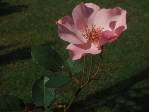f0041606_21195461.jpg