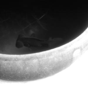 b0031009_1862958.jpg