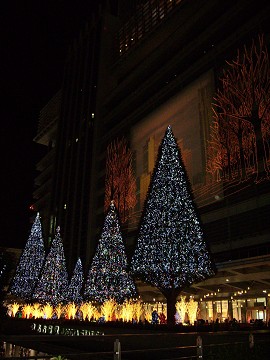 f0046614_2311286.jpg