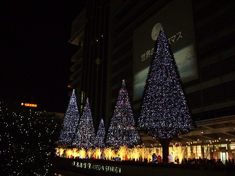 f0046614_2353358.jpg