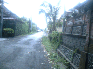 d0038319_14415197.gif