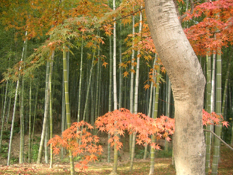 c0086221_19251414.jpg