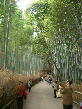 c0086221_19252854.jpg