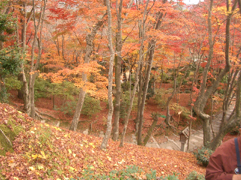 c0086221_19263848.jpg