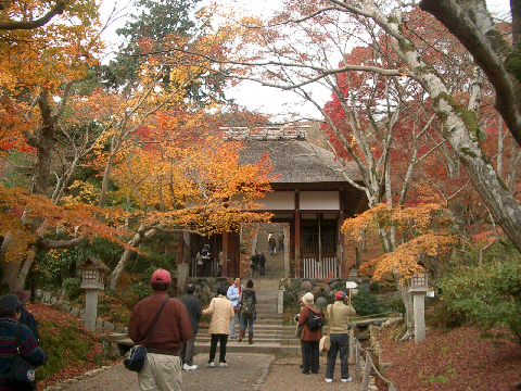 c0086221_1926843.jpg