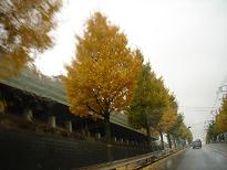 a0092927_1241640.jpg