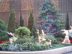 c0022231_1835093.jpg